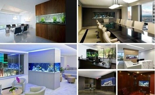 辦公室魚(yú)缸擺放效果