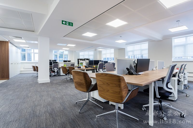 辦公室裝修中綠色植物的擺放位置和風水