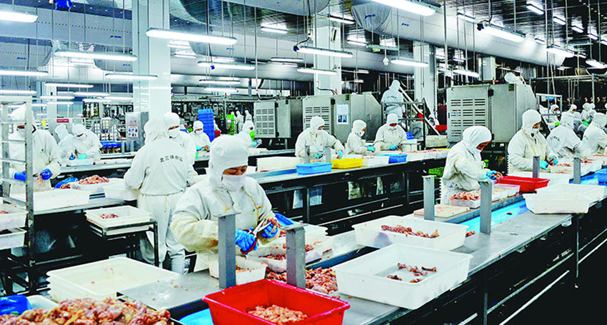 食品加工車間裝修效果